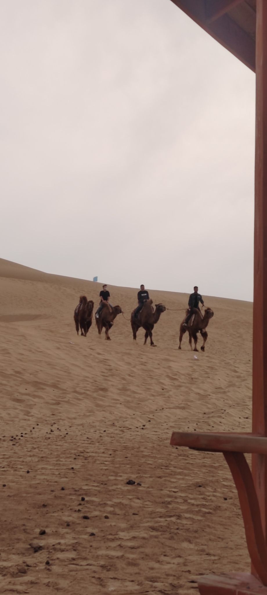 亿利库布其七星湖沙漠生态旅游区旅行图片 2