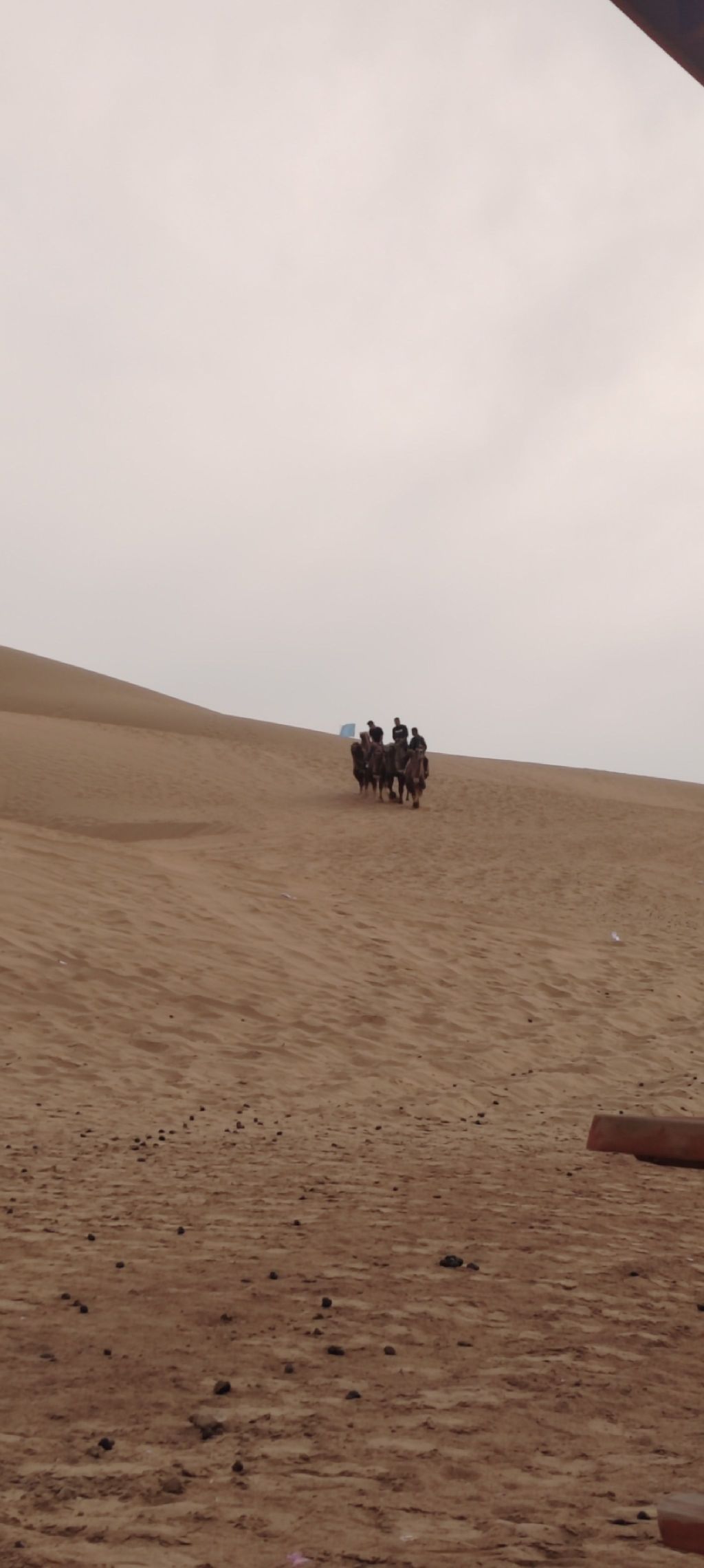 亿利库布其七星湖沙漠生态旅游区旅行图片 1