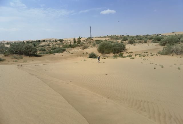 亿利库布其七星湖沙漠生态旅游区旅行图片 1
