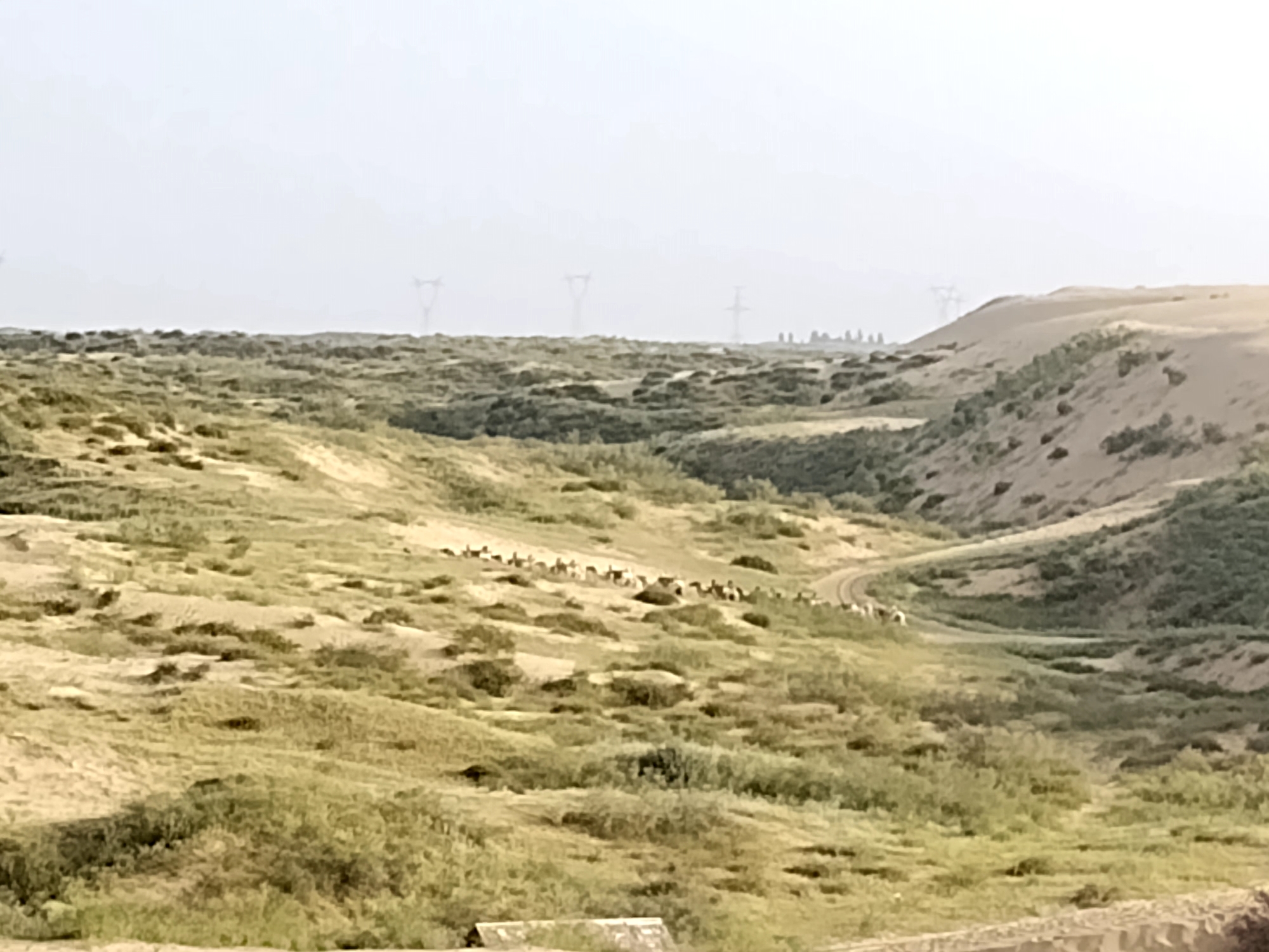 库布齐沙漠旅行图片 1