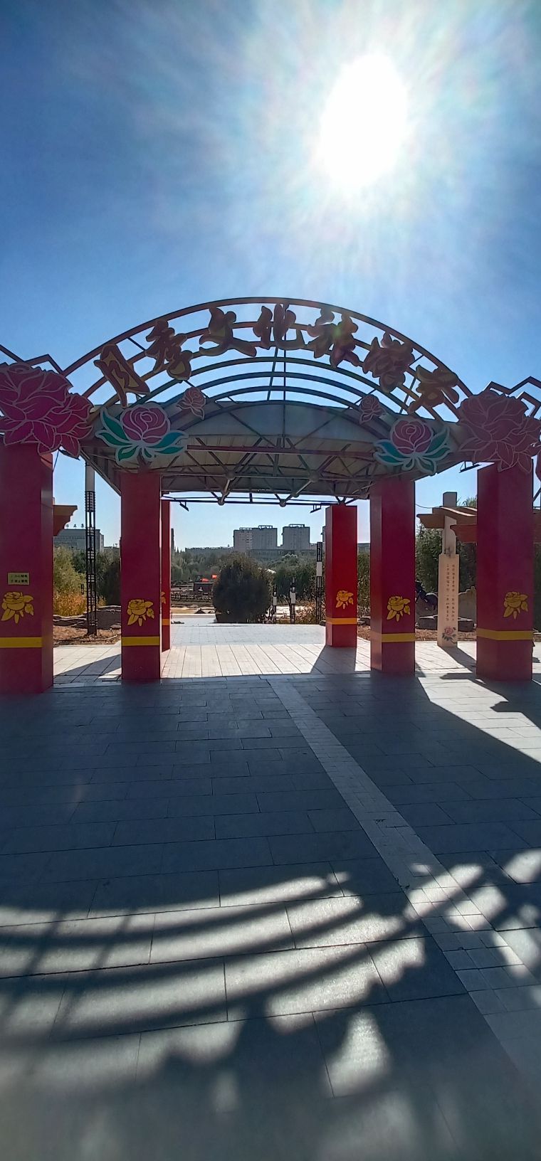 东胜月季文化公园旅行图片 1
