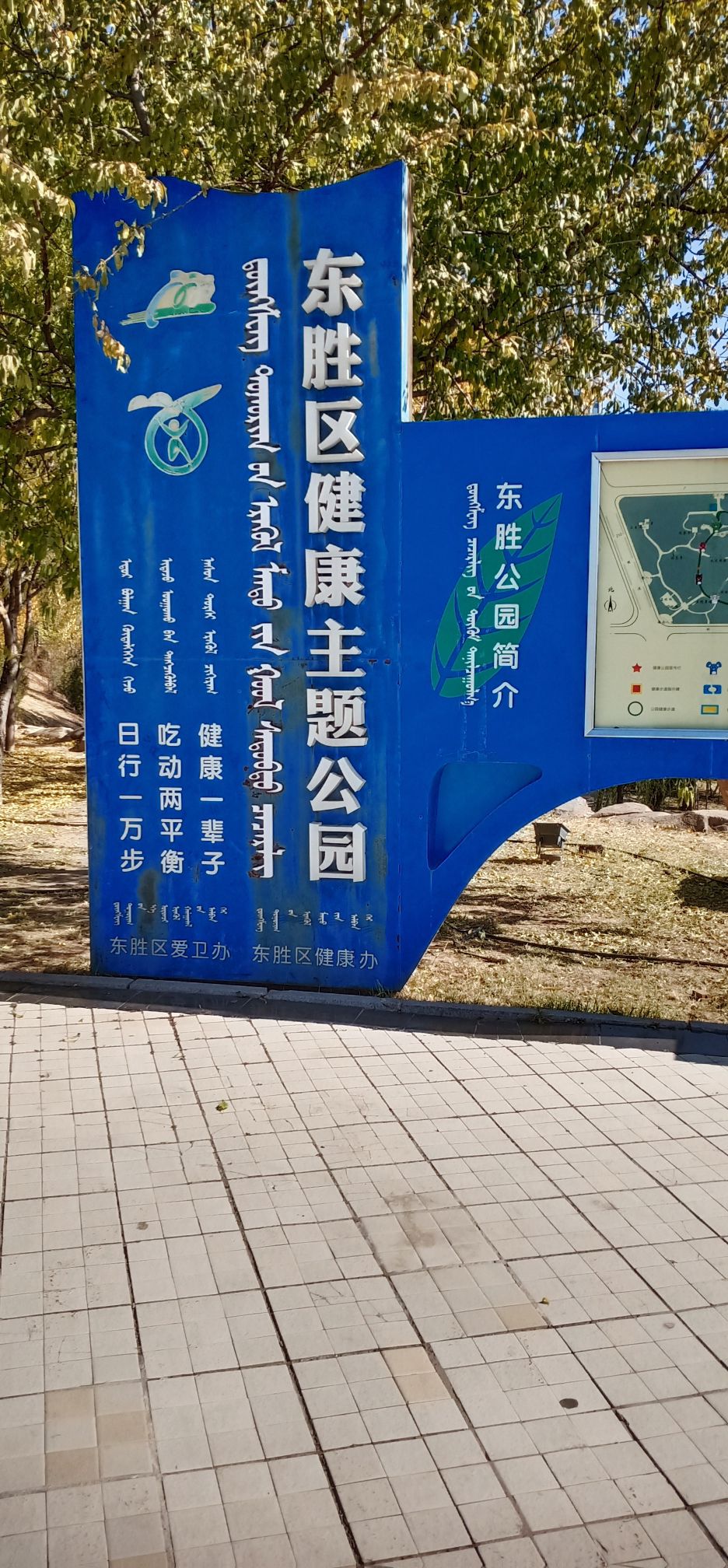 东胜月季文化公园旅行图片 2