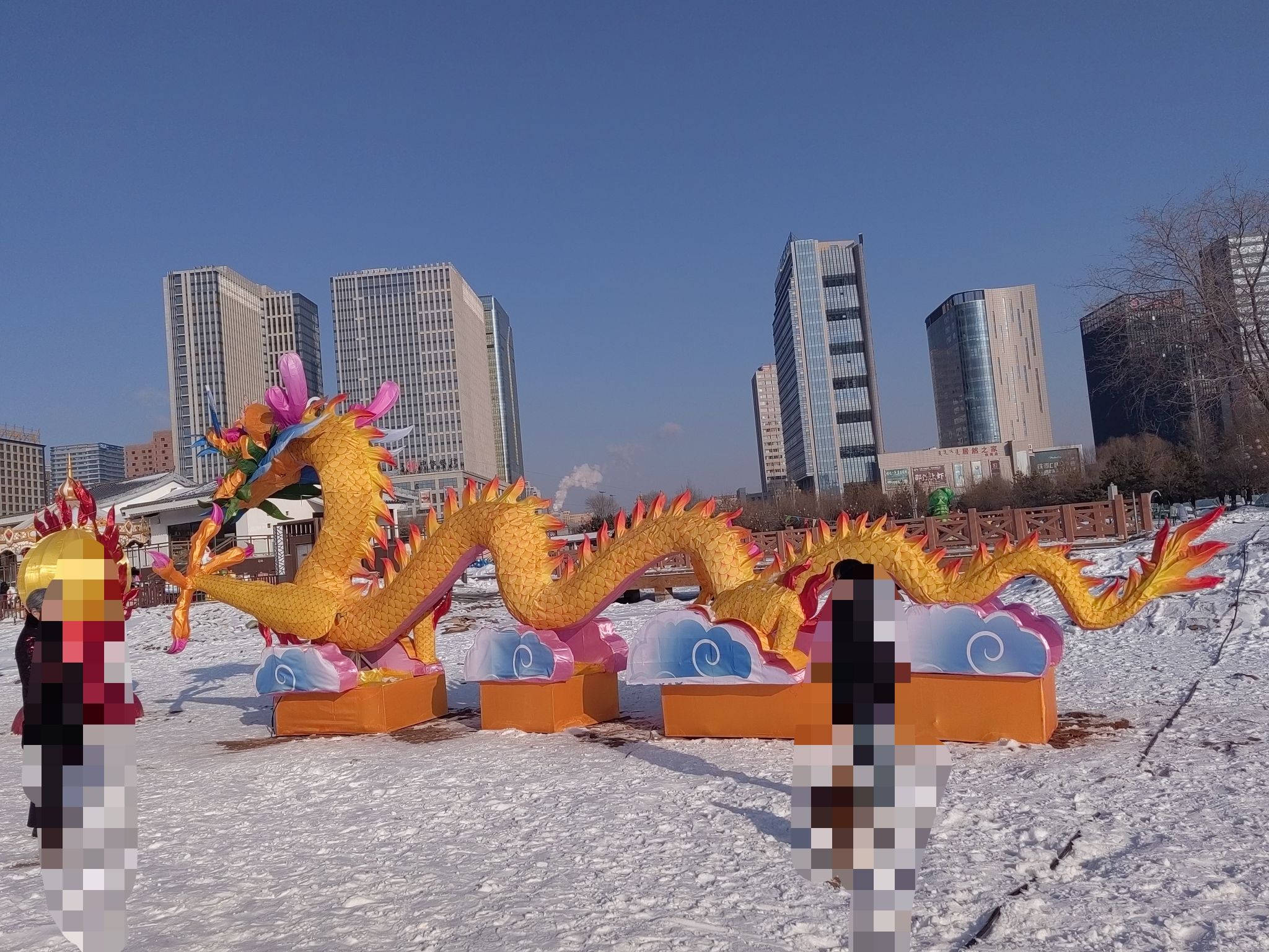 东胜月季文化公园旅行图片 1