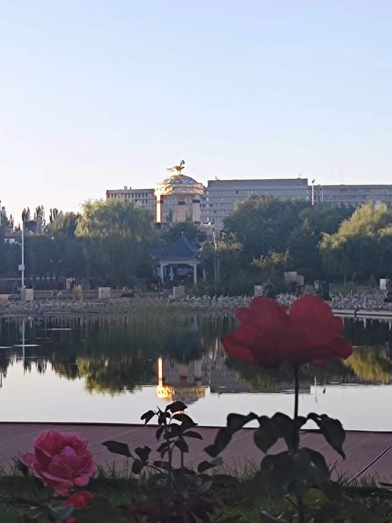 东胜月季文化公园旅行图片 1