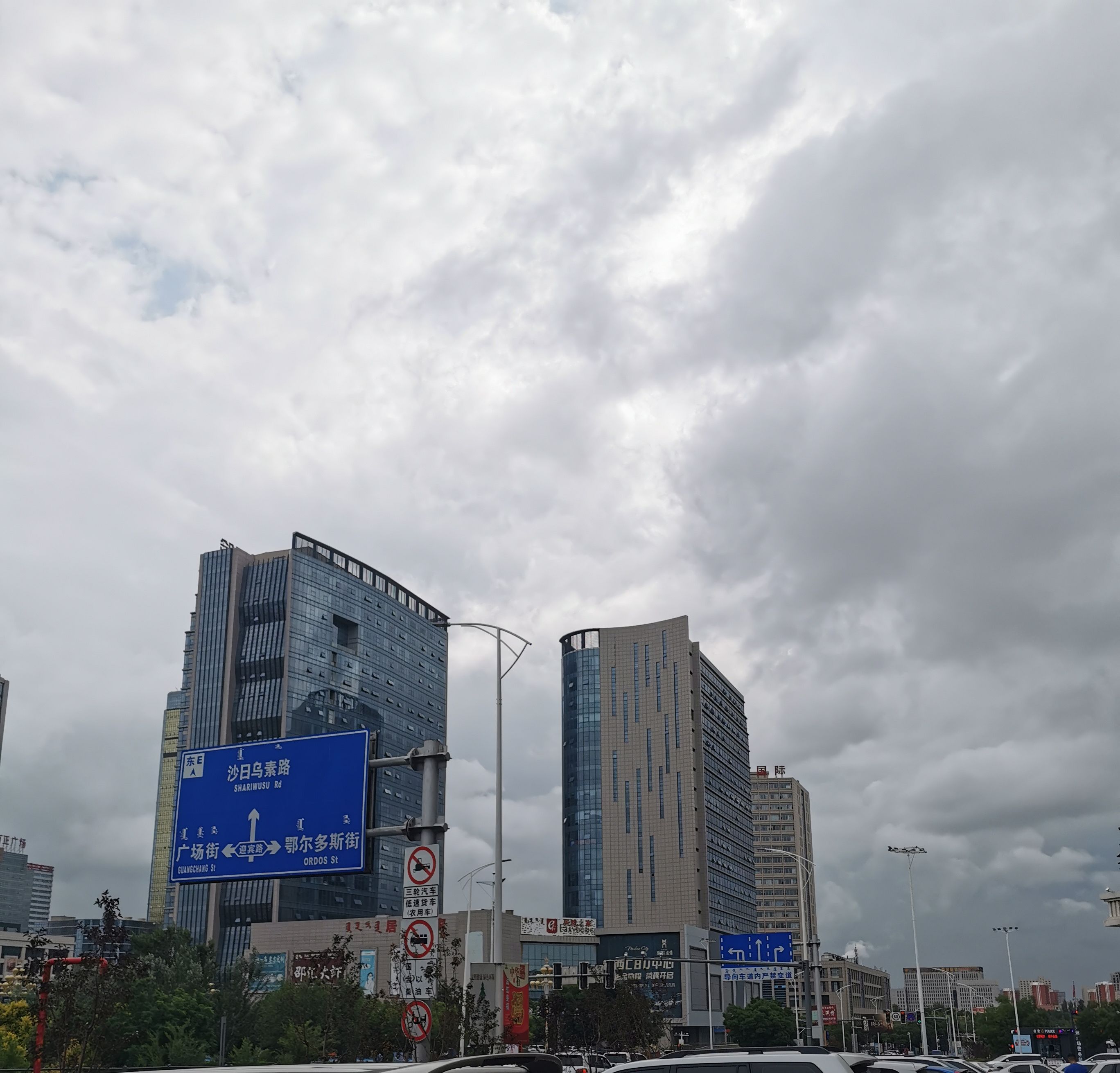 东胜月季文化公园旅行图片 1
