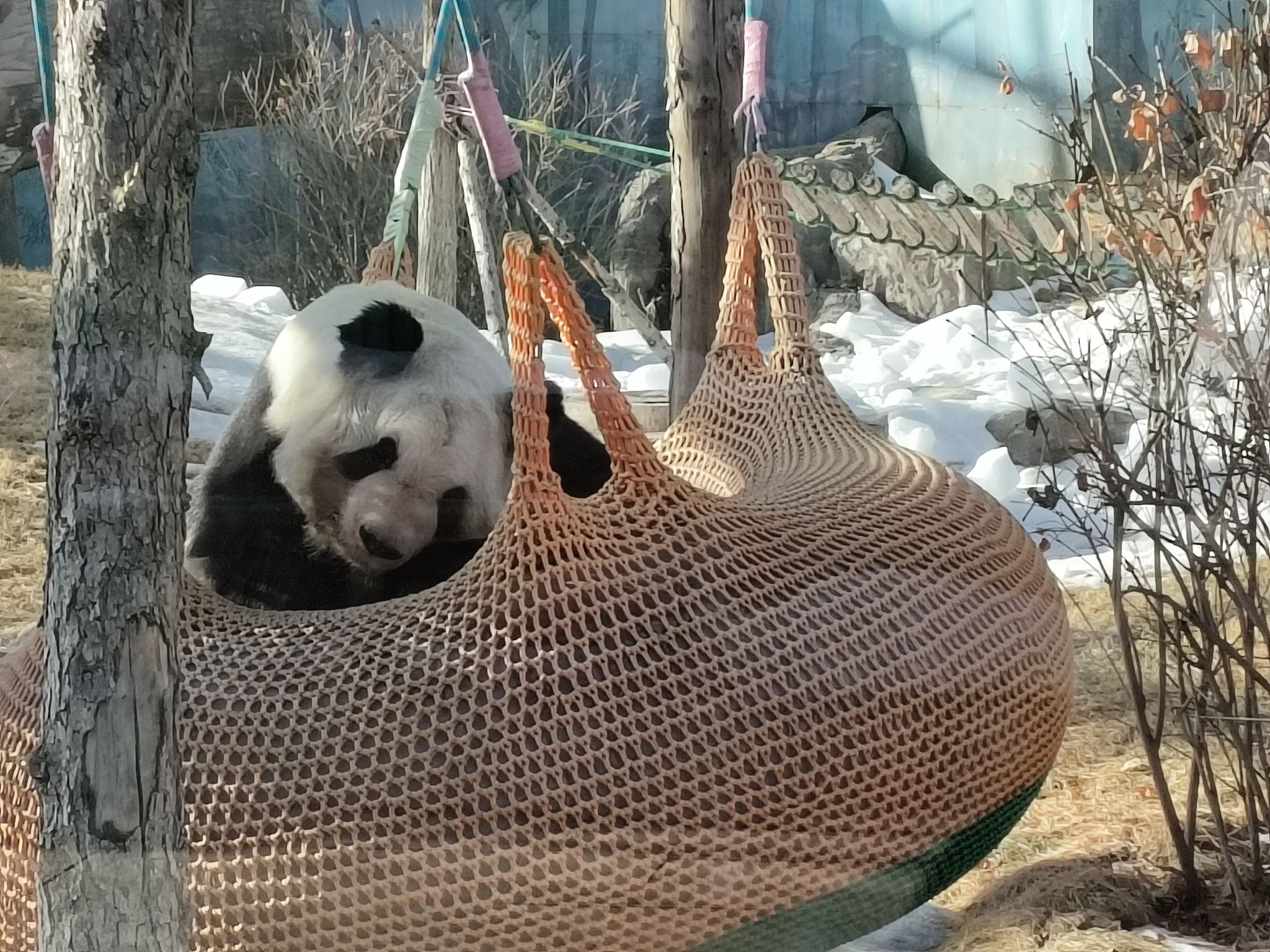 鄂尔多斯野生动物园旅行图片 2