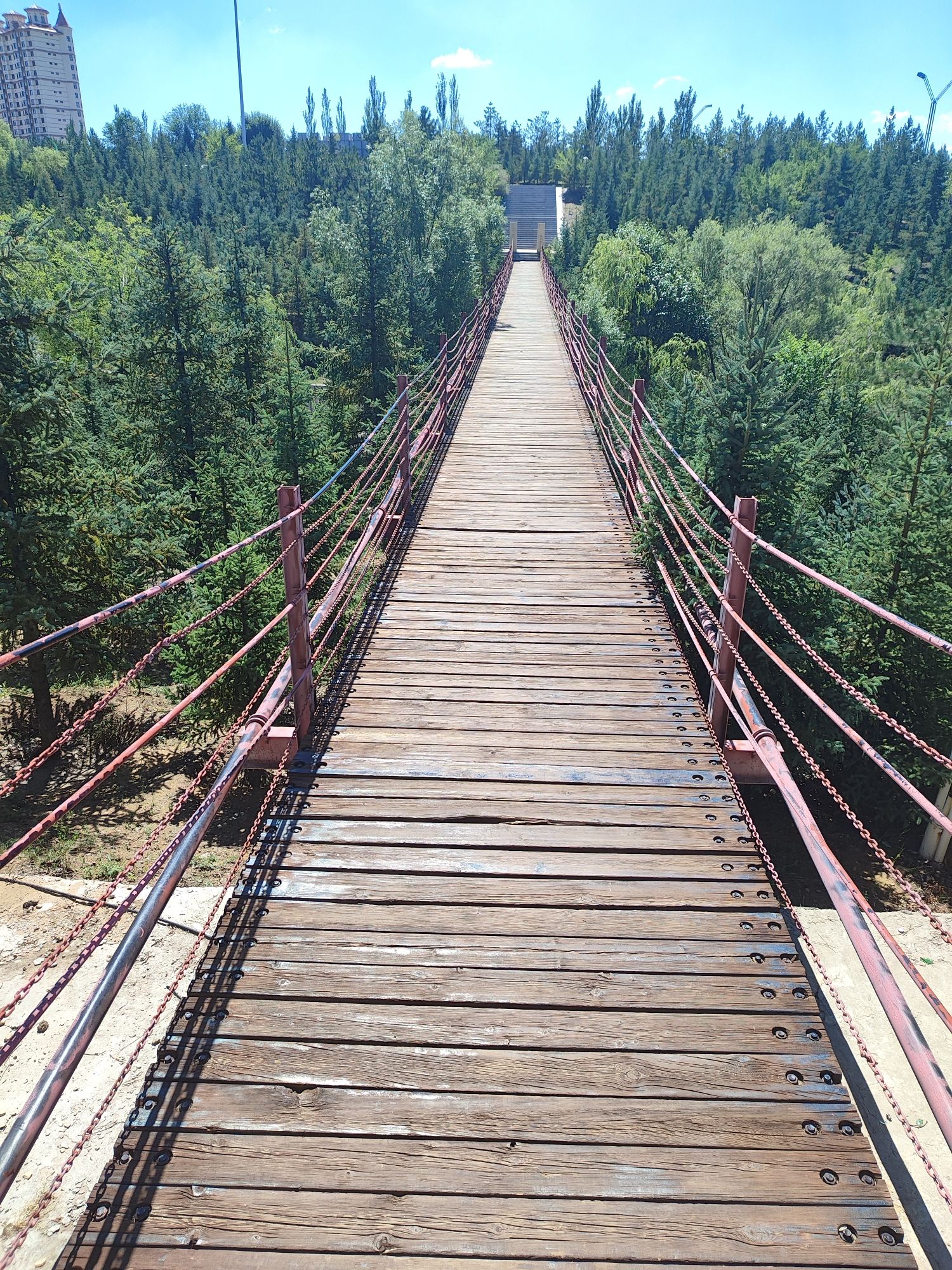 三角洲公园旅行图片 2