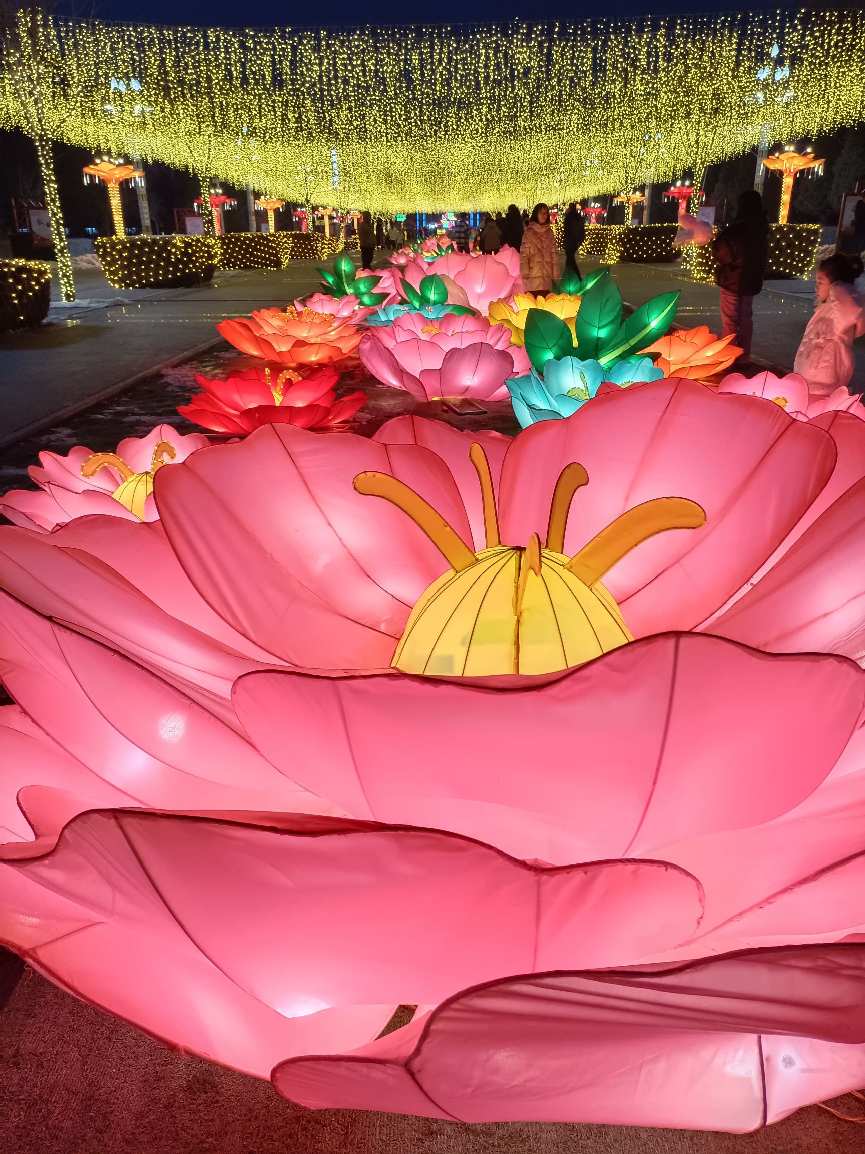 白塔公园旅行图片 2