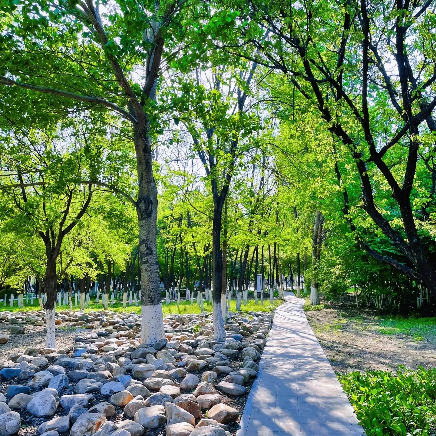 双骏公园旅行图片 1
