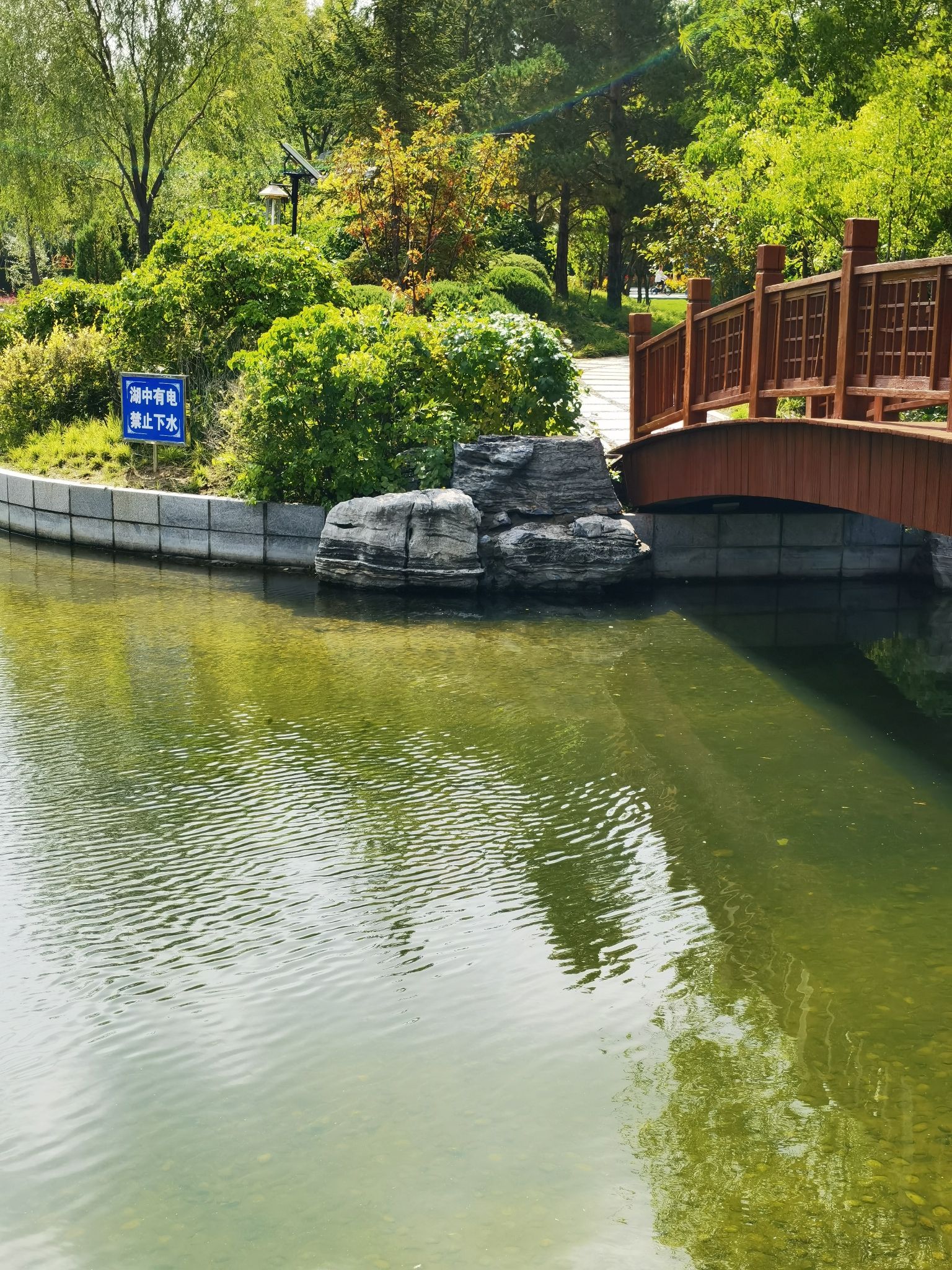 假日公园旅行图片 3
