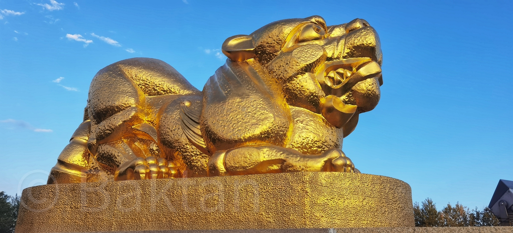 蒙古象棋广场旅行图片 3
