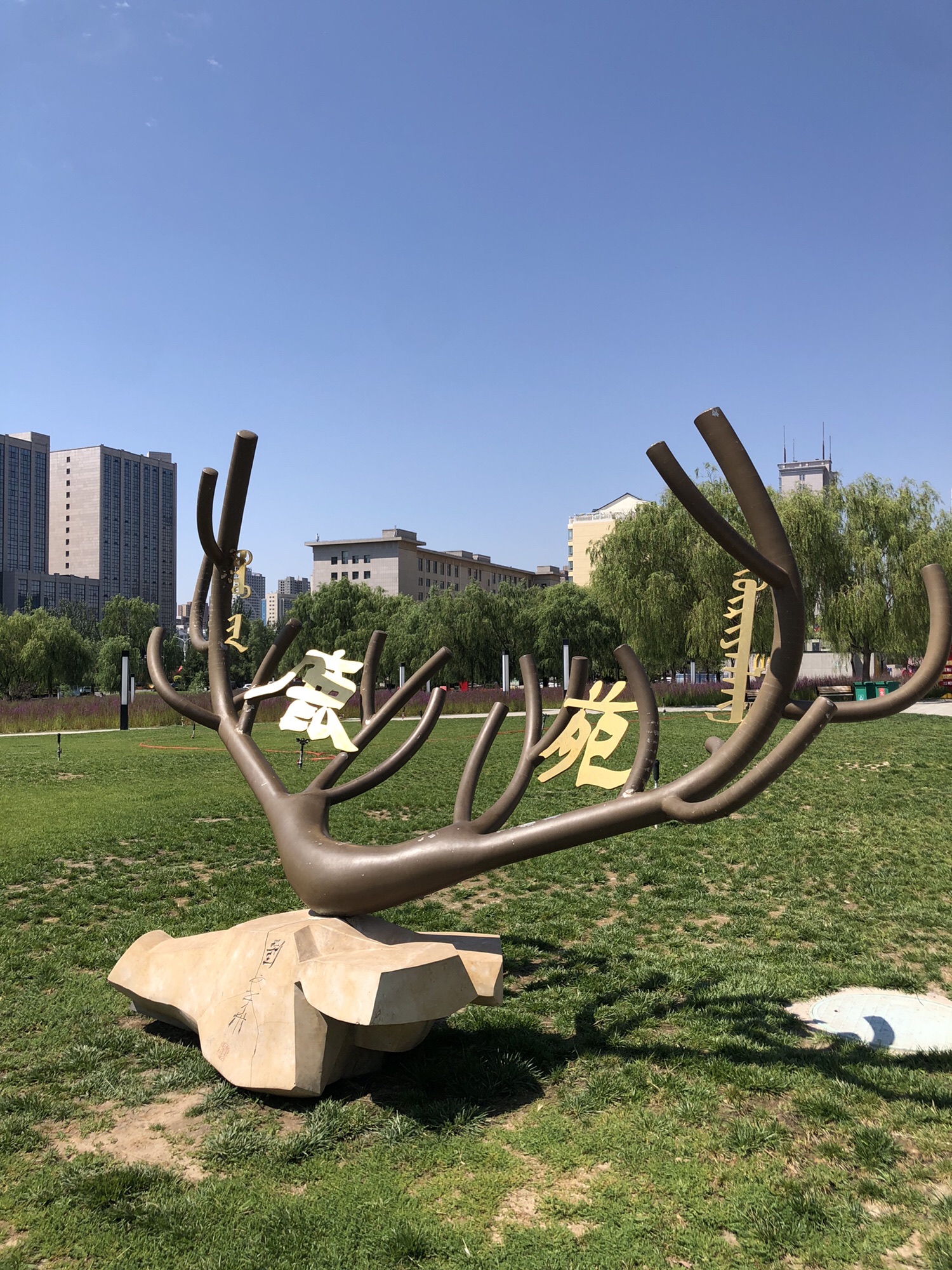 鹿苑广场旅行图片 1