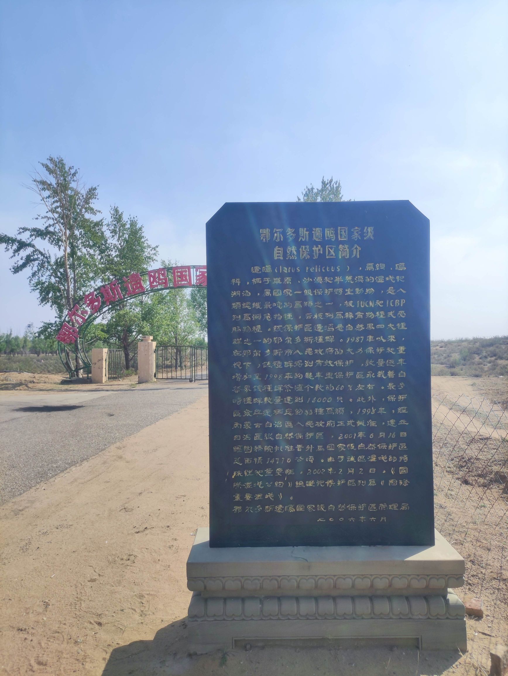 鄂尔多斯遗鸥国家级自然保护区旅行图片 2