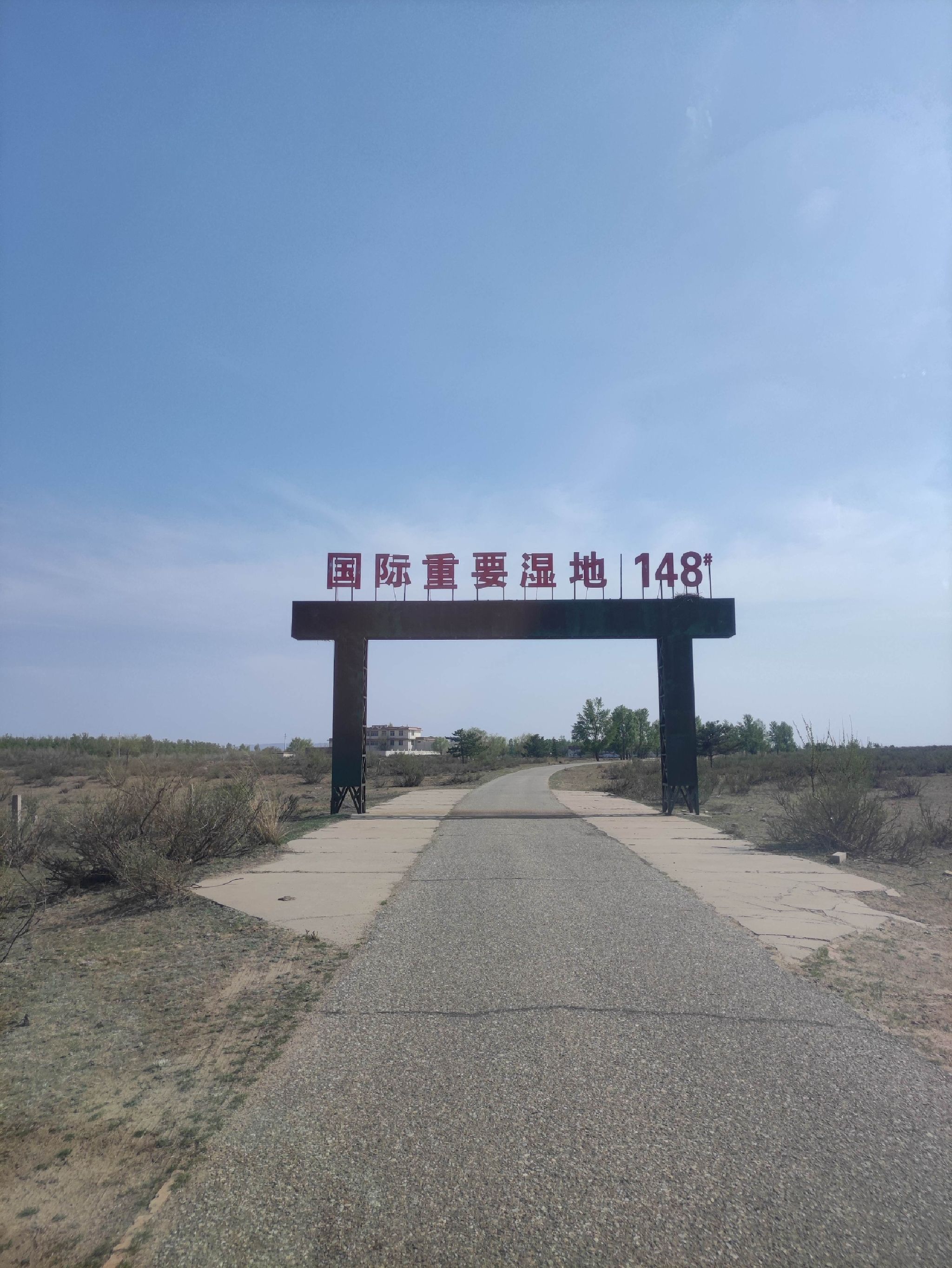 鄂尔多斯遗鸥国家级自然保护区旅行图片 1