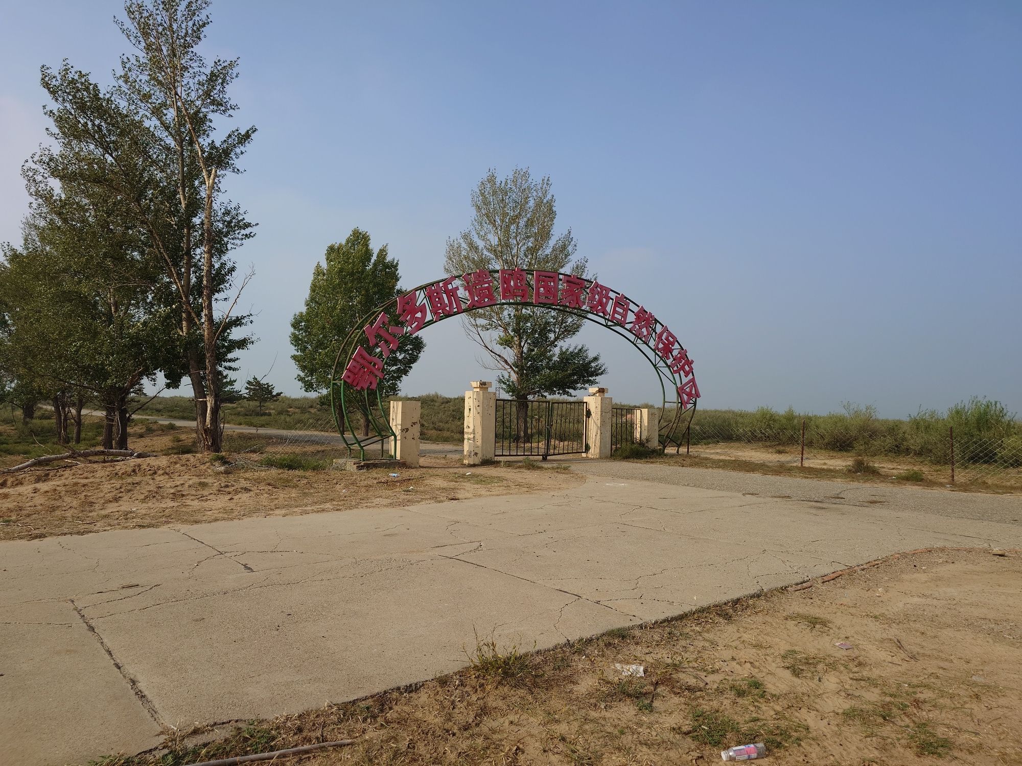 鄂尔多斯遗鸥国家级自然保护区旅行图片 1