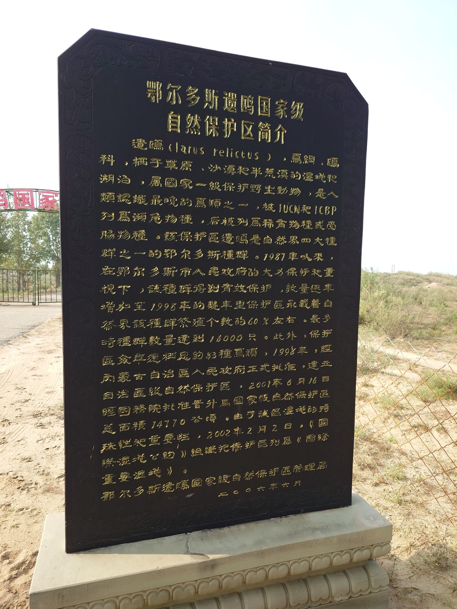 鄂尔多斯遗鸥国家级自然保护区旅行图片 2