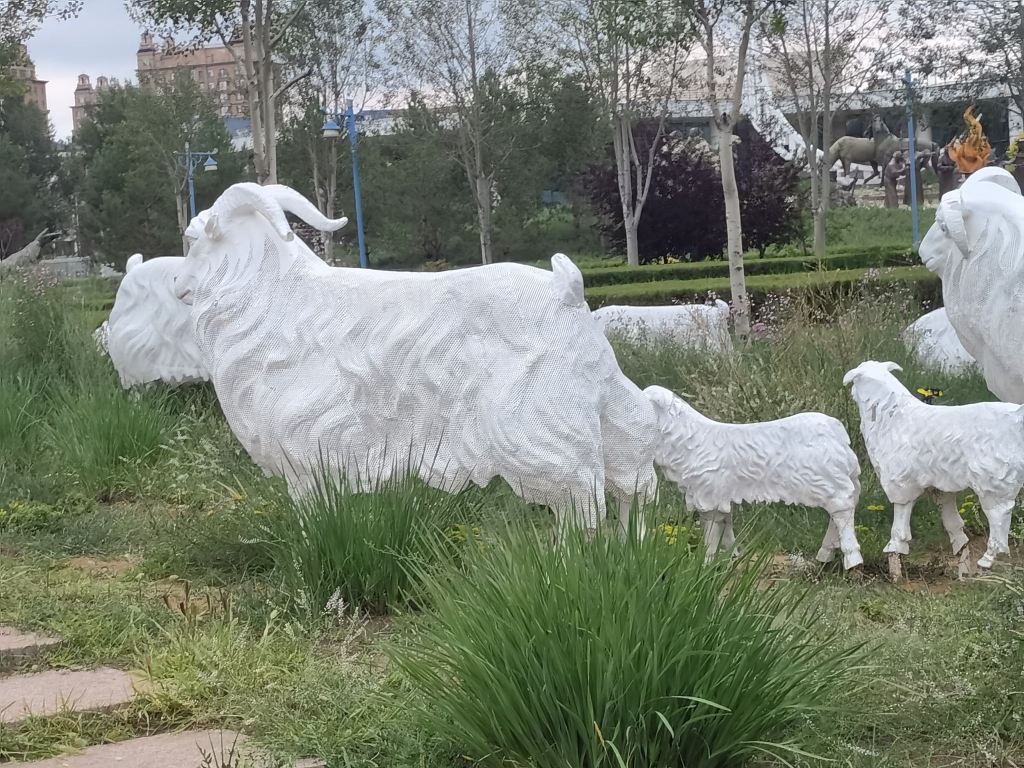 草原情公园旅行图片 2