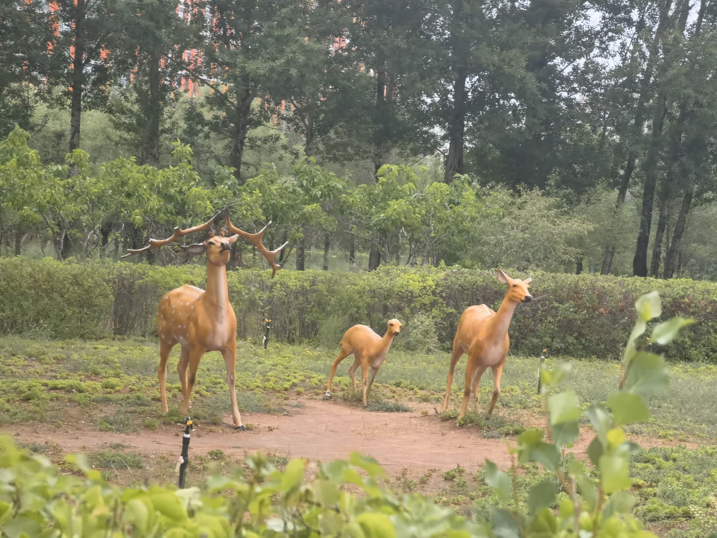 草原情公园旅行图片 1