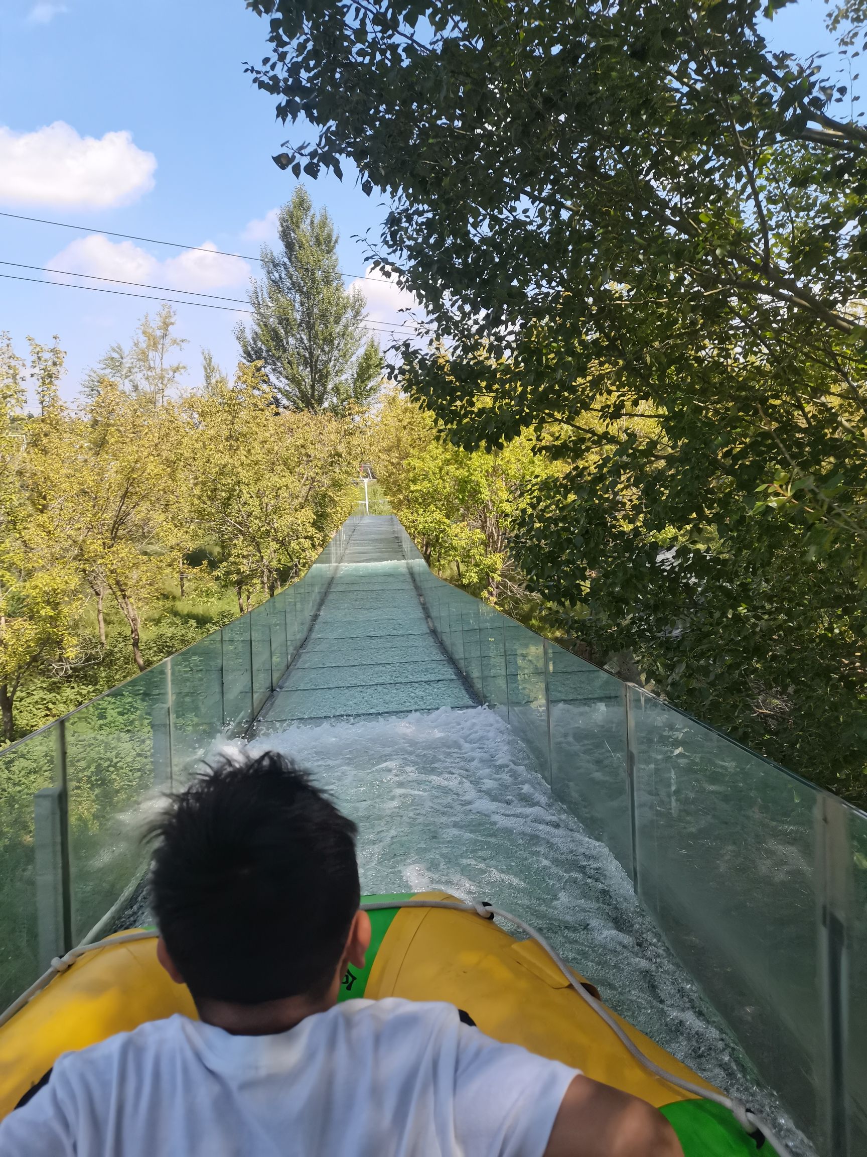 鄂尔多斯植物园旅行图片 1