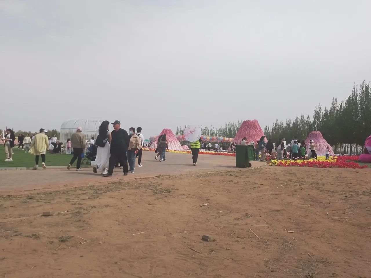 鄂尔多斯植物园旅行图片 3