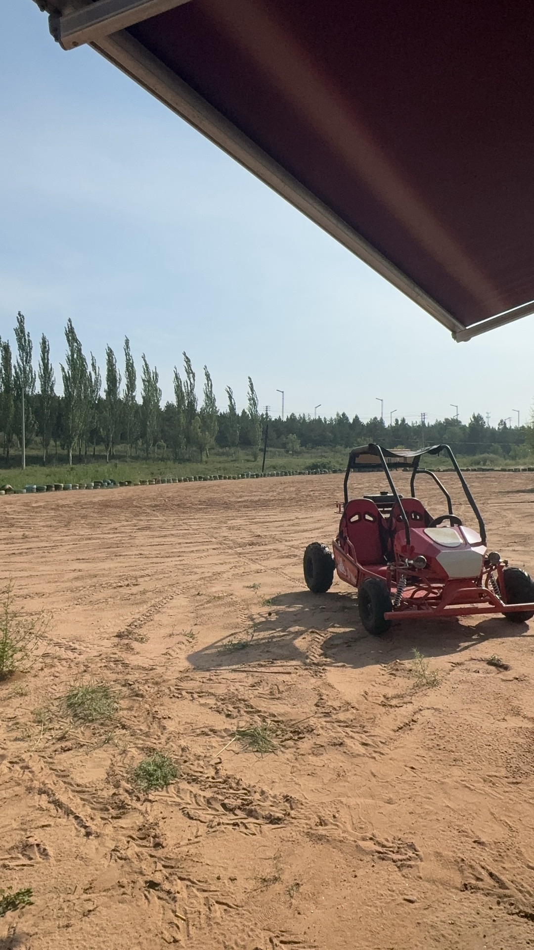鄂尔多斯植物园旅行图片 2