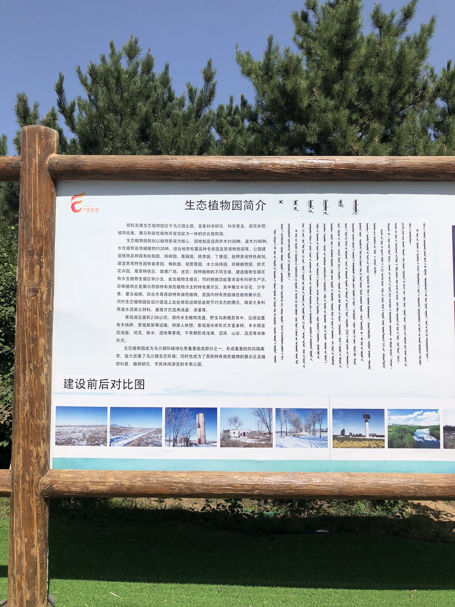 鄂托克生态植物园旅行图片 3