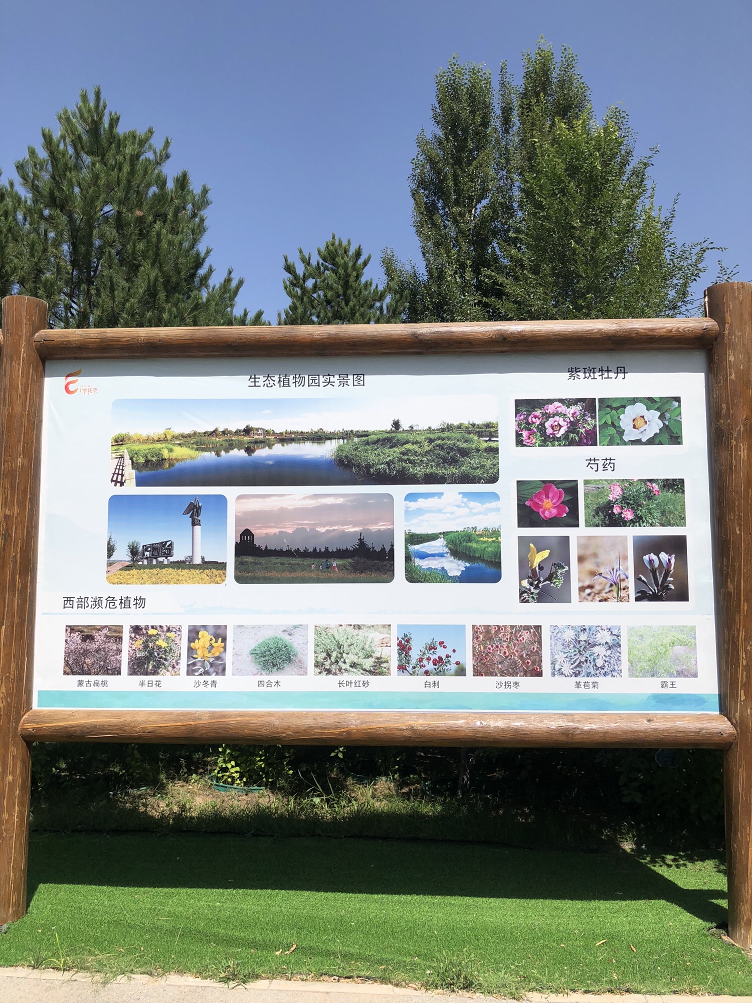 鄂托克生态植物园旅行图片 1