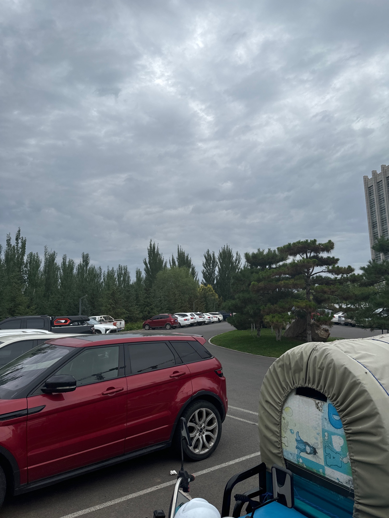 鄂尔多斯智慧体育公园旅行图片 3