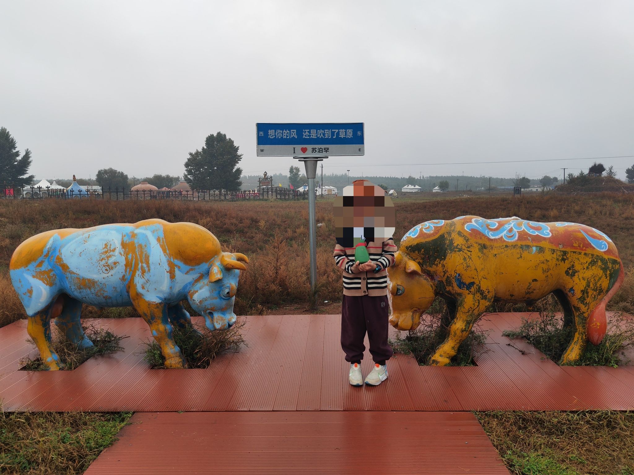 苏泊罕大草原旅游景区(暂停开放)旅行图片 2