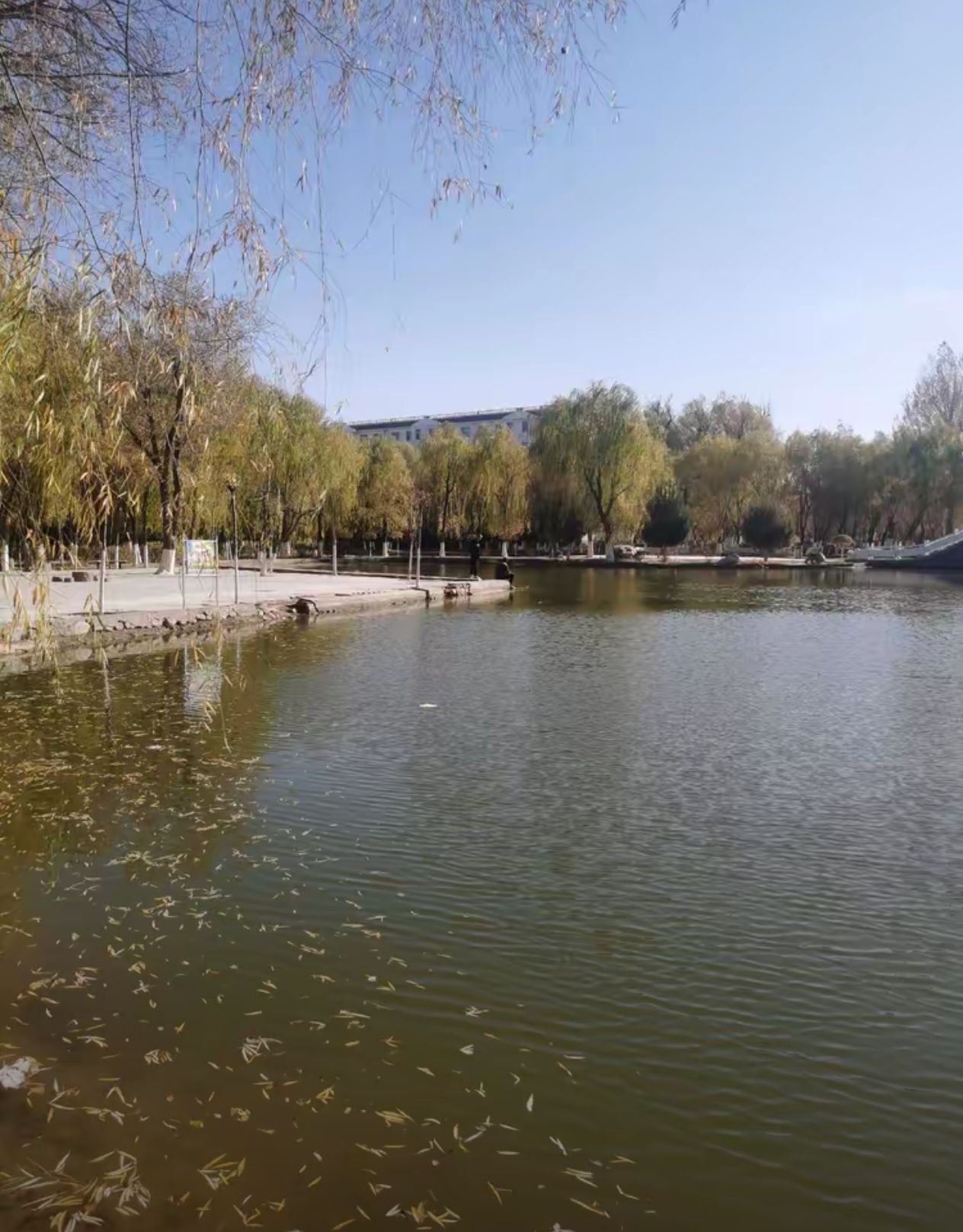 陕坝公园旅行图片 2