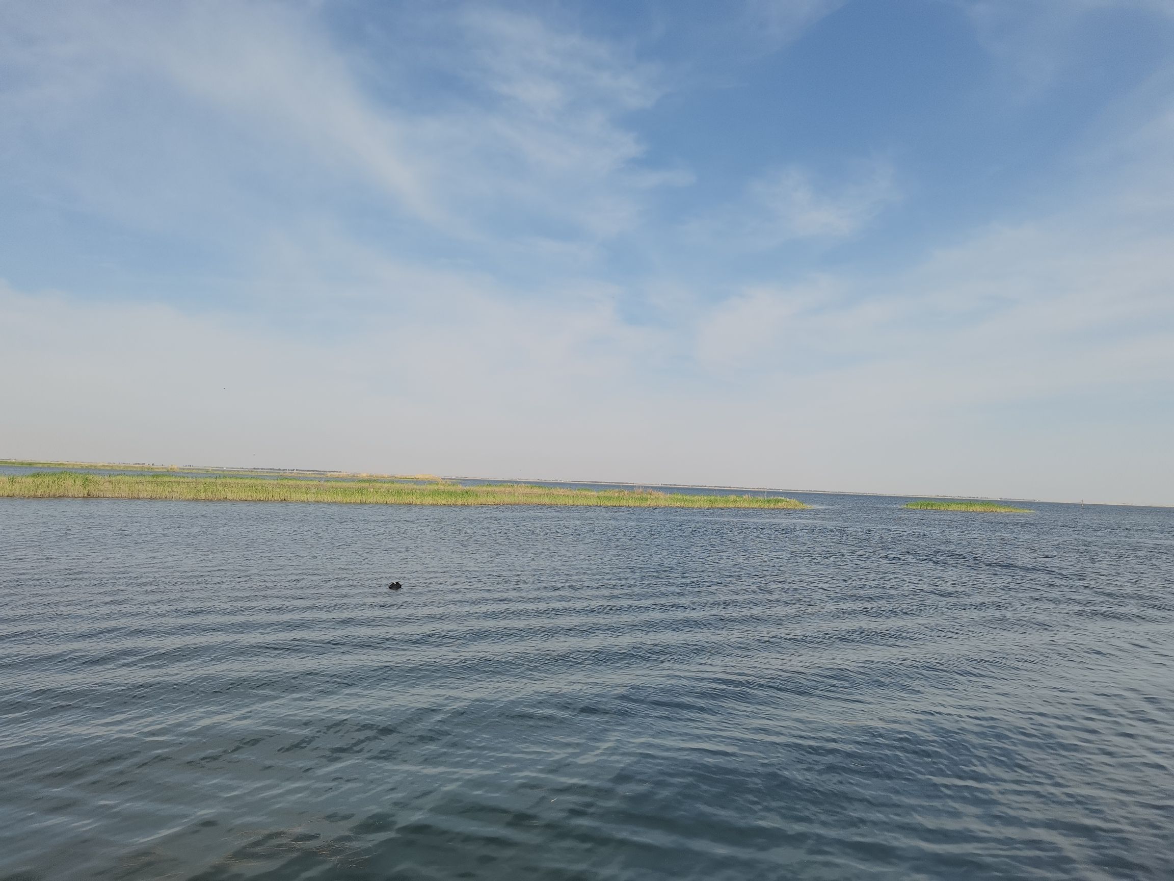 乌梁素海生态旅游景区(暂停开放)旅行图片 1