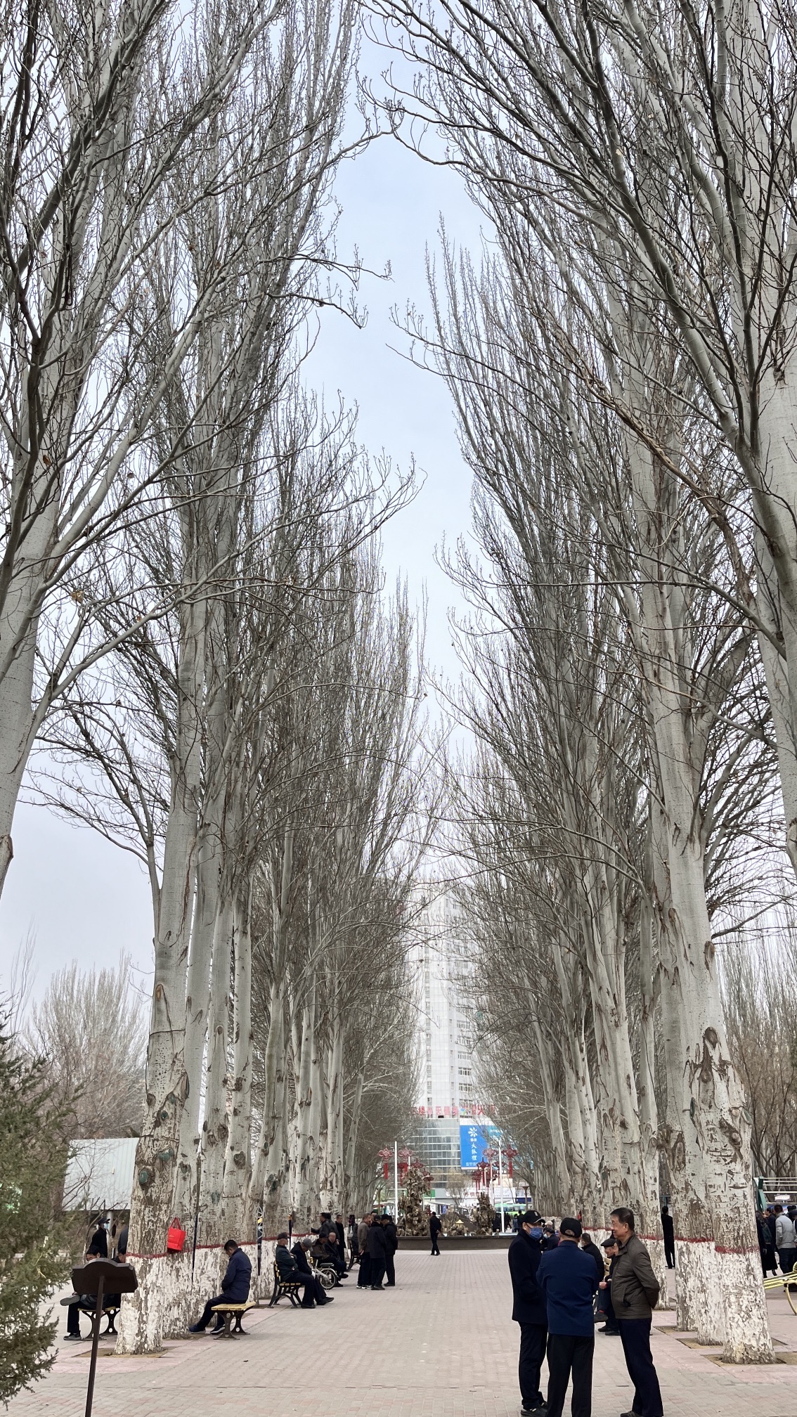 人民公园旅行图片 2