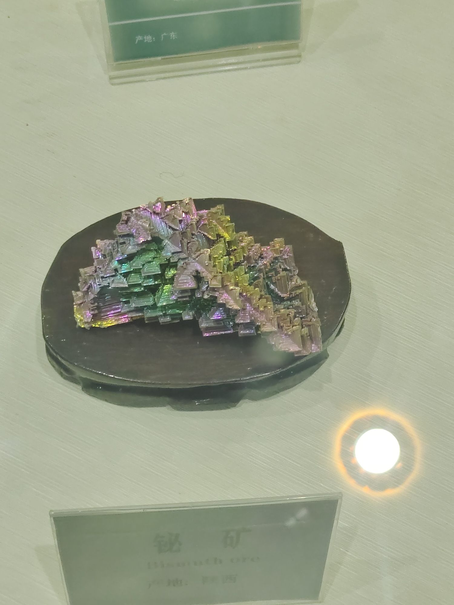 巴彦淖尔自然博物馆旅行图片 1