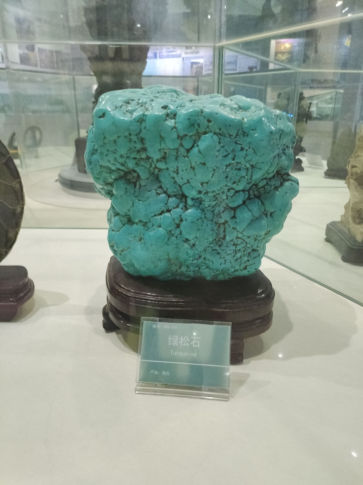 巴彦淖尔自然博物馆旅行图片 2