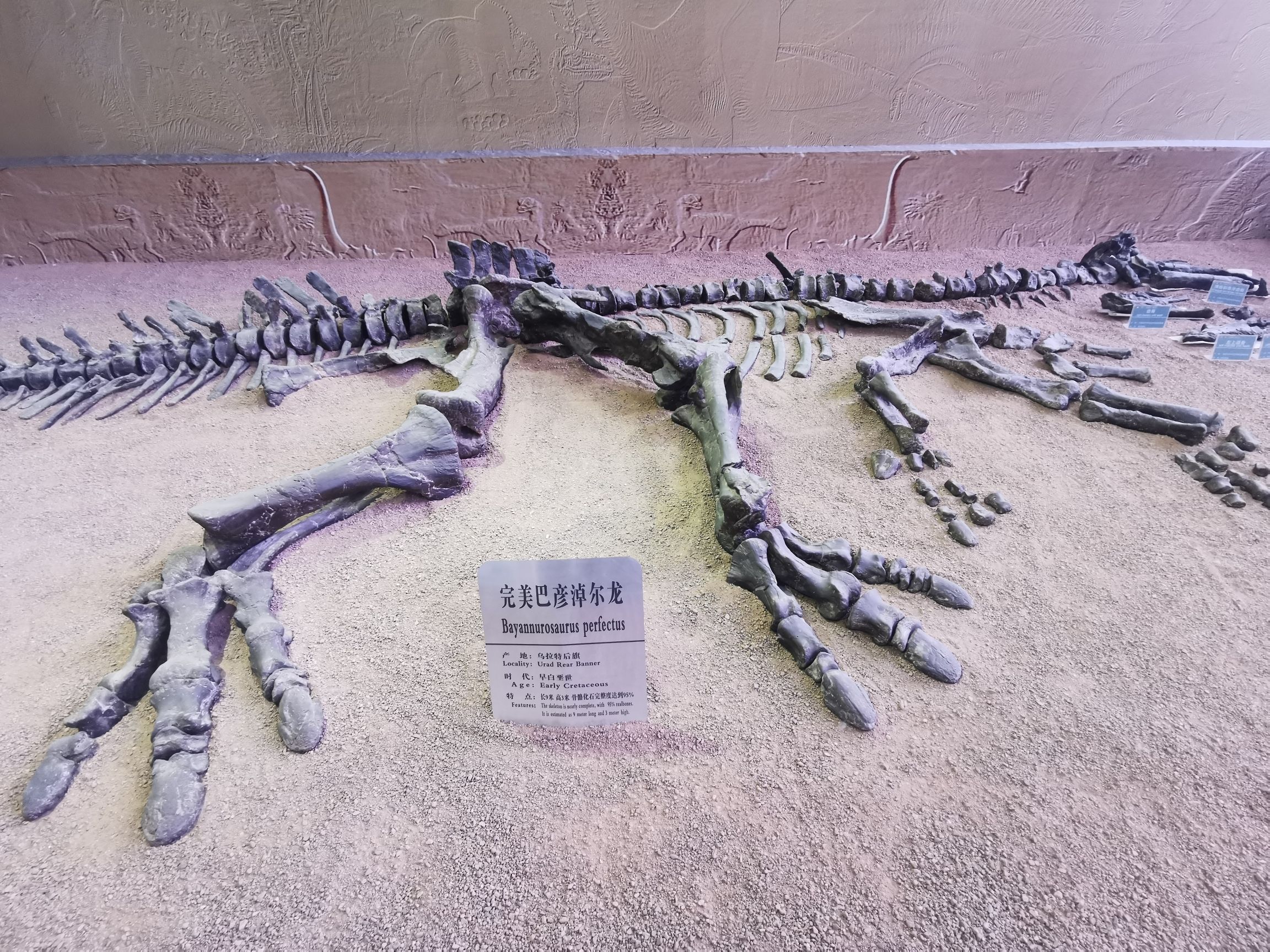 巴彦淖尔自然博物馆旅行图片 3