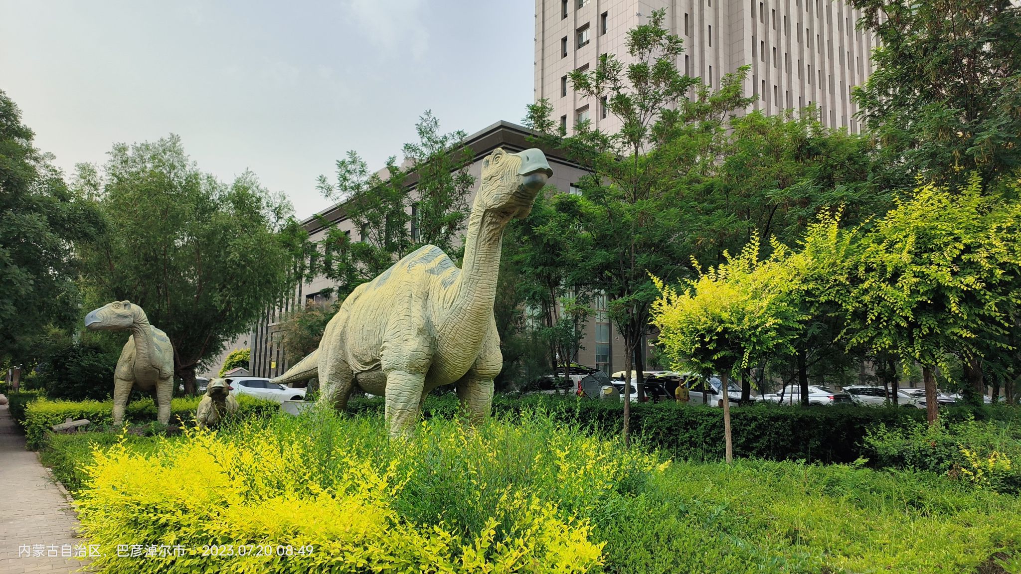 巴彦淖尔自然博物馆旅行图片 1