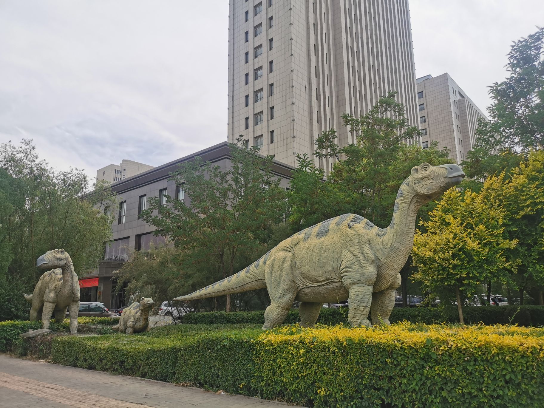 巴彦淖尔自然博物馆旅行图片 2