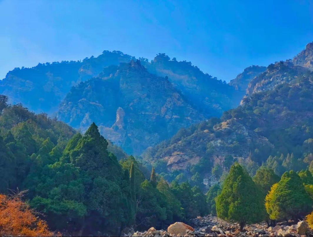 乌拉山国家森林公园旅行图片 1