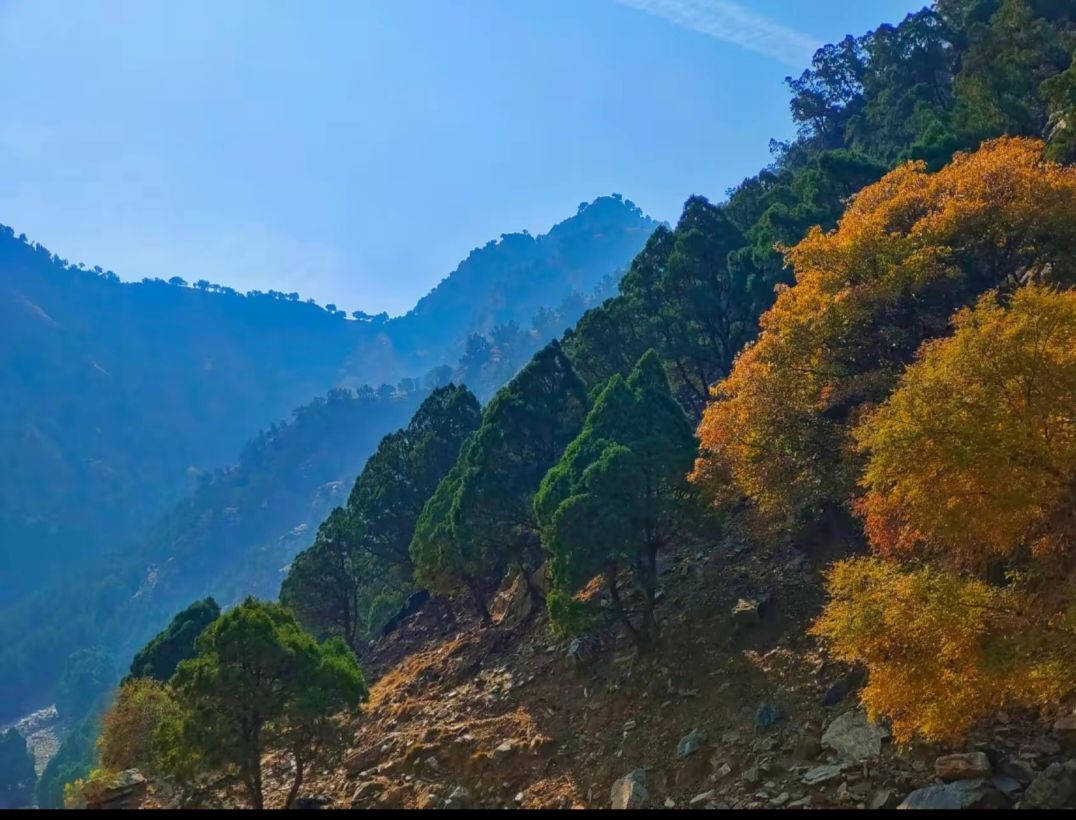 乌拉山国家森林公园旅行图片 3