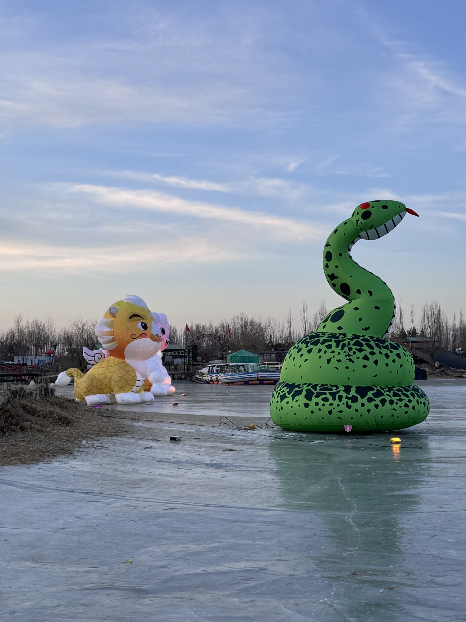青春湖旅游区旅行图片 1