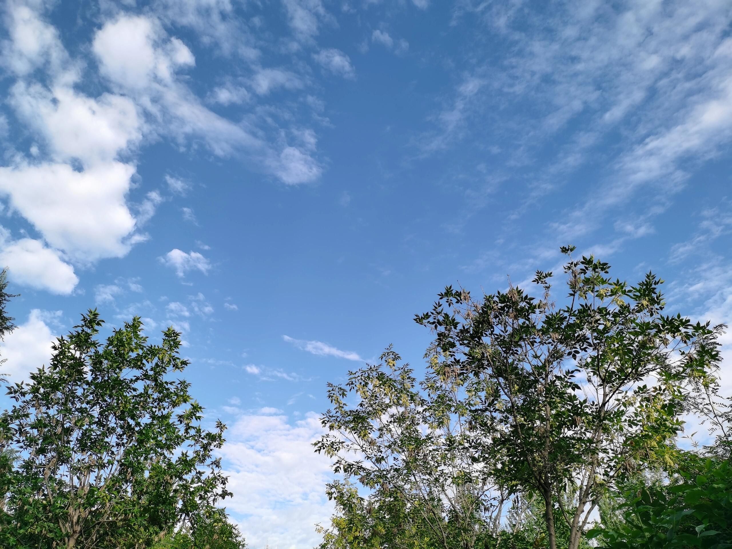 青春湖旅游区旅行图片 2