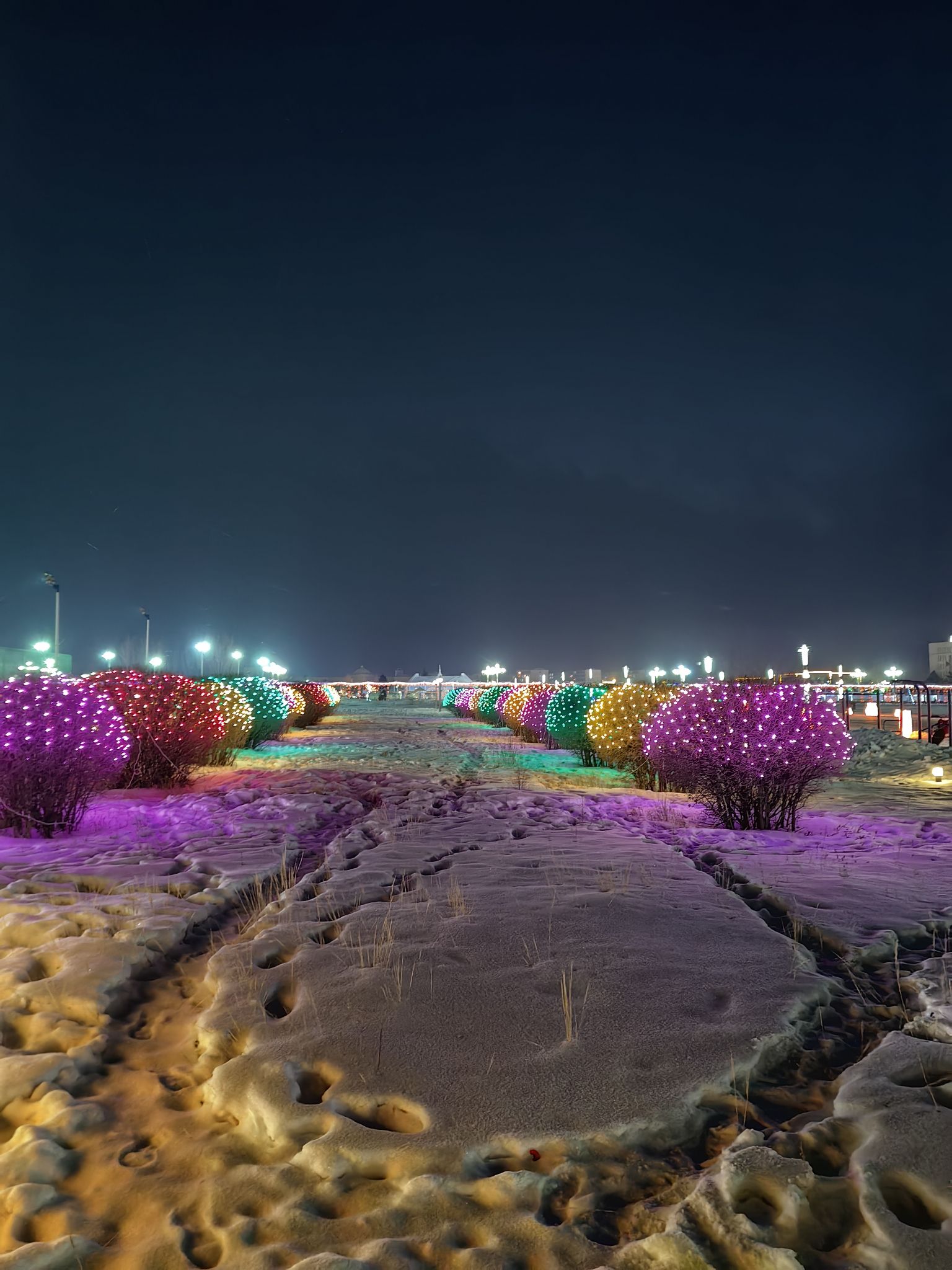 忽必烈广场旅行图片 3