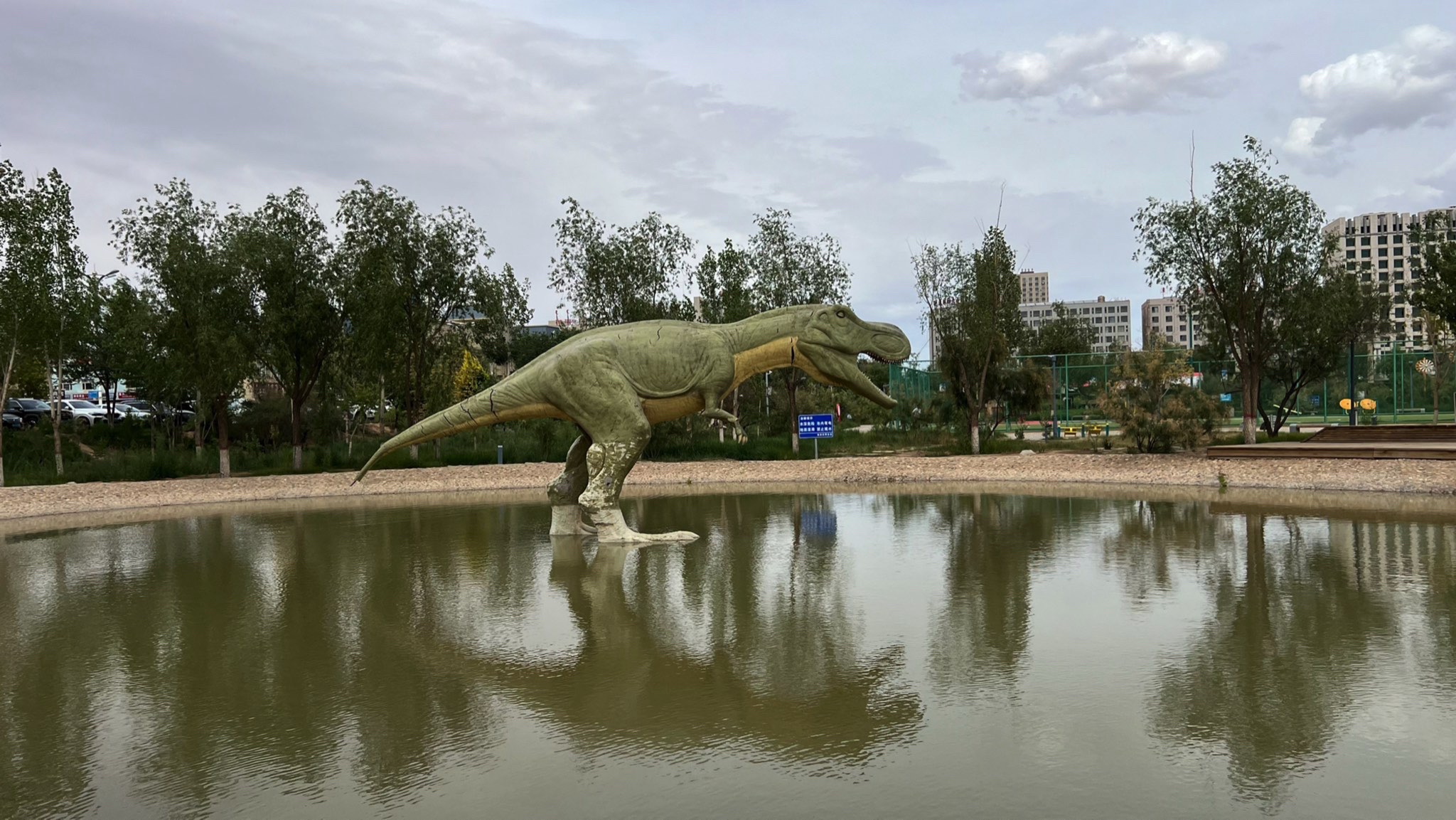 镜湖旅行图片 1