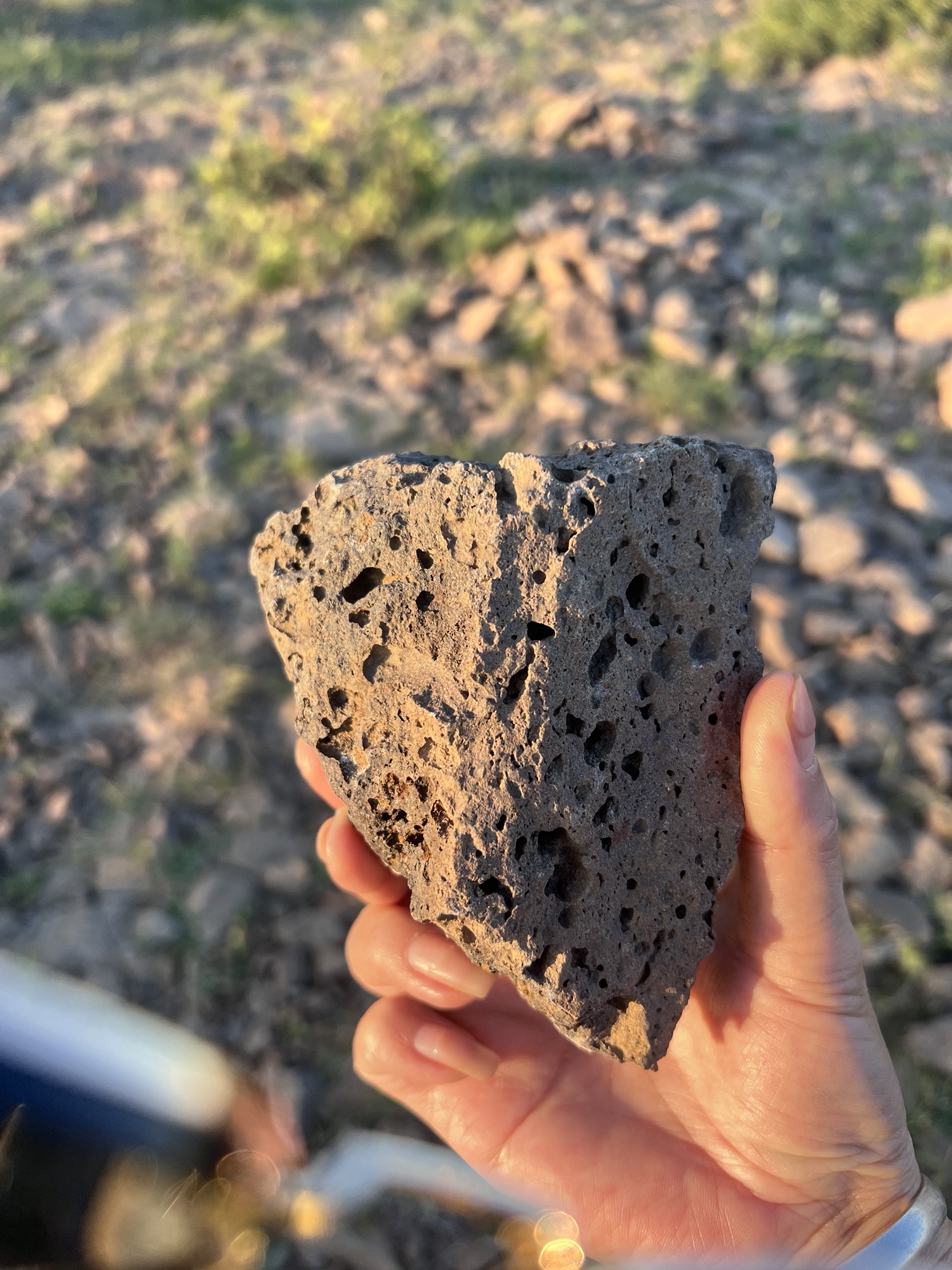 平顶山锡林郭勒草原火山地质公园(暂停开放)旅行图片 3