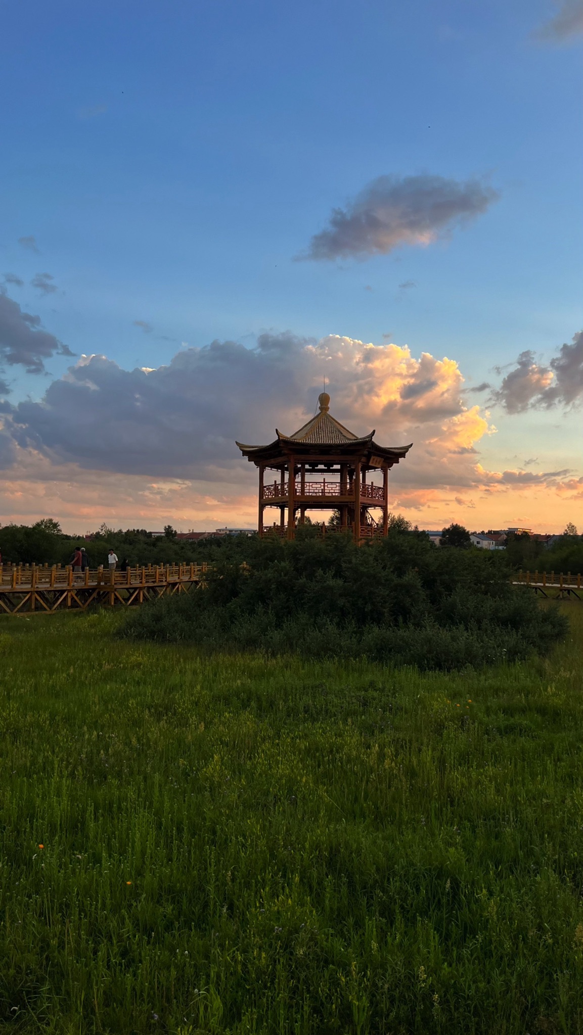 湿地公园旅行图片 2