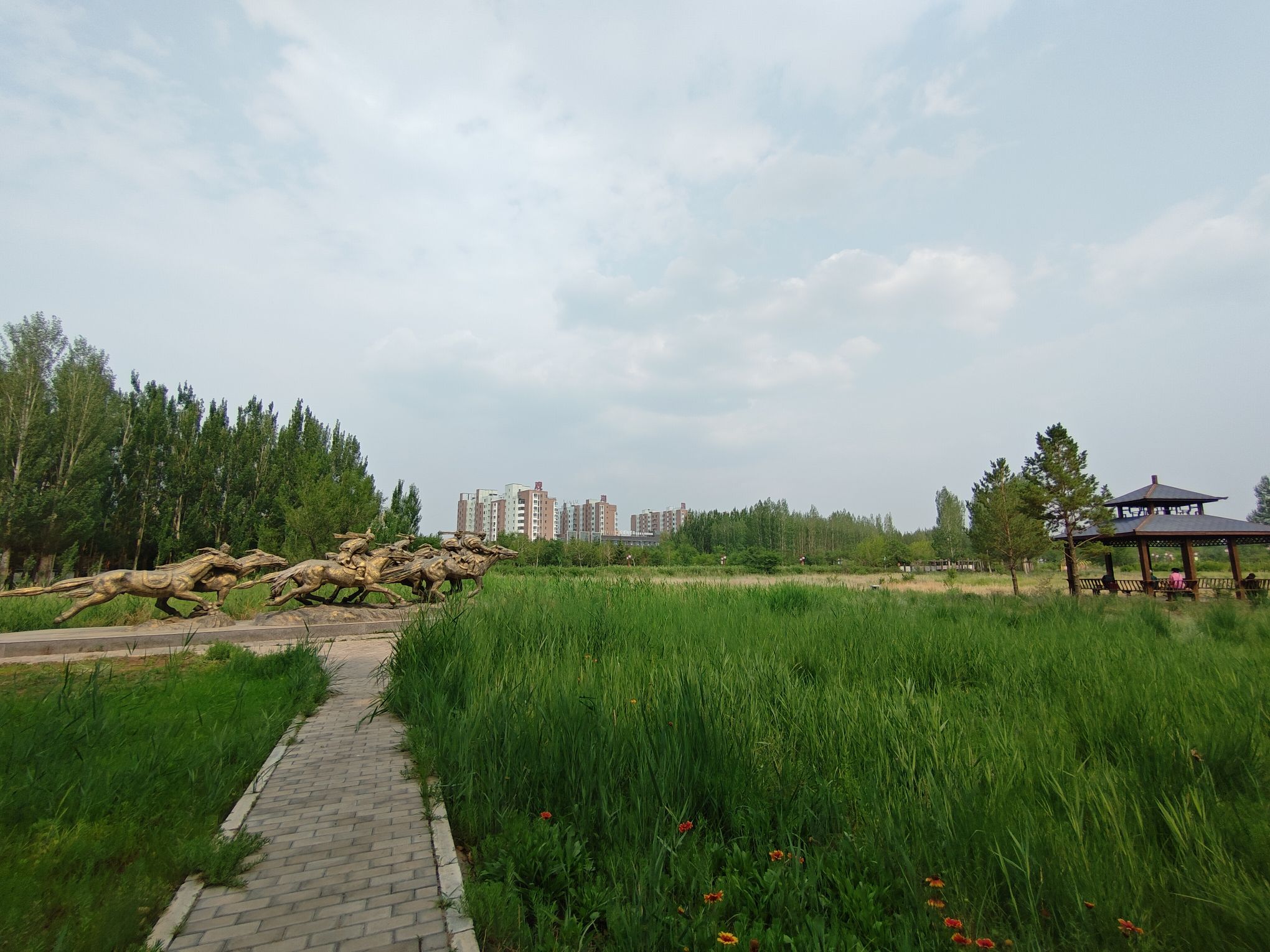 锡林浩特生态植物园旅行图片 3