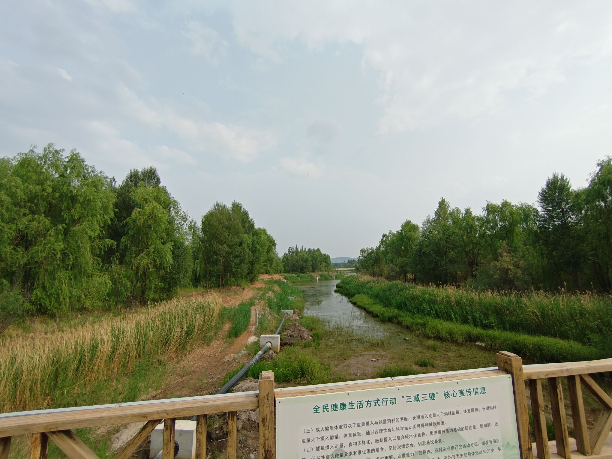 锡林浩特生态植物园旅行图片 2