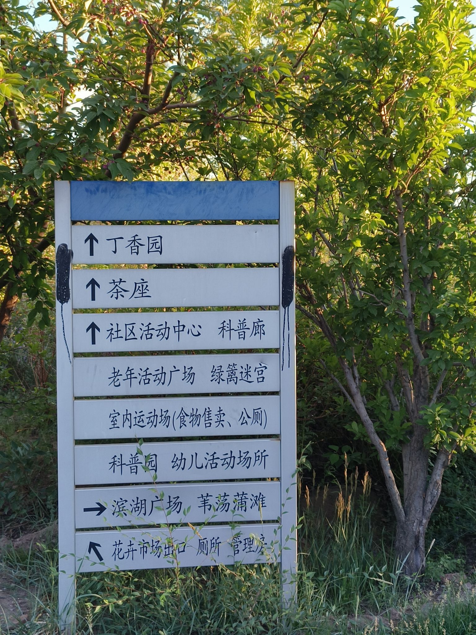 锡林浩特生态植物园旅行图片 2