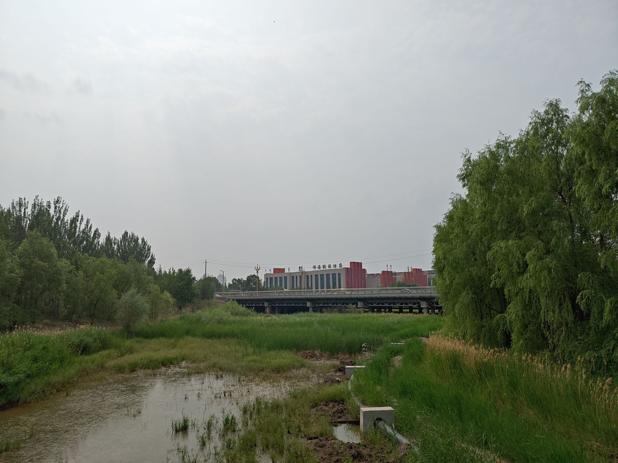 锡林浩特生态植物园旅行图片 1