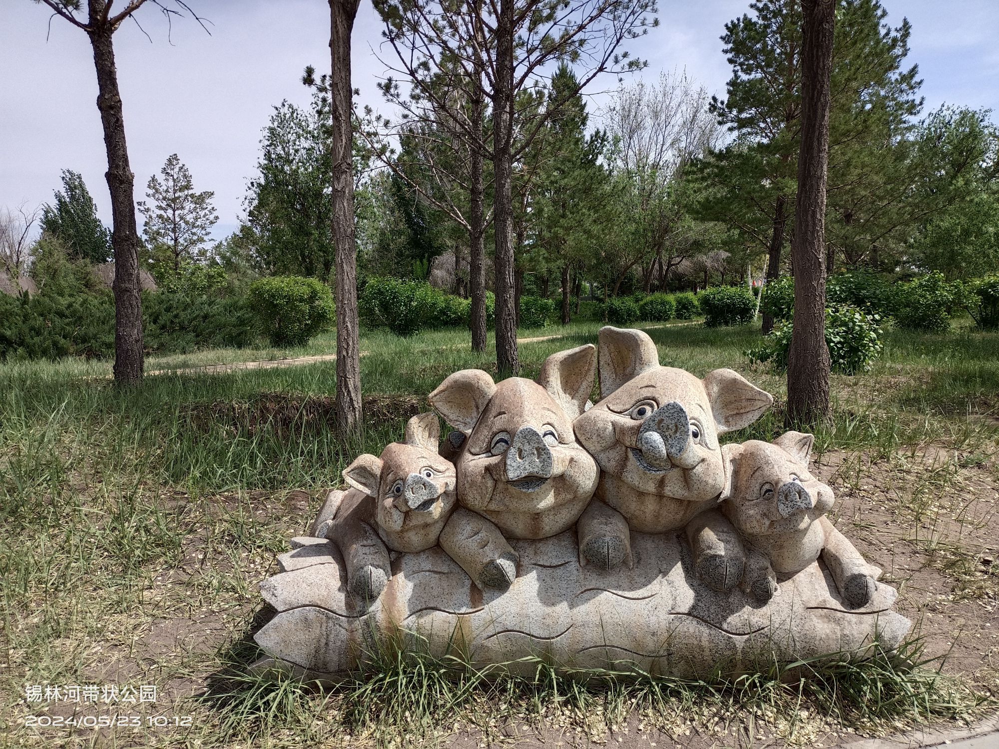 锡林浩特生态植物园旅行图片 3